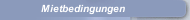 Mietbedingungen